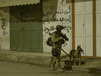 Около Дженина задержан