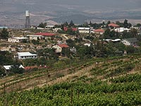 Палестинцы продвигают проект резолюции ООН с осуждением поселений