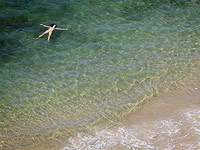 Прогноз погоды на 17 апреля: тепло и солнечно