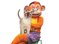 Кофико и 101 кошка в субботу в Тель-Авиве