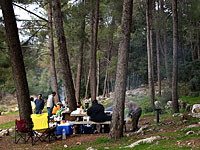 К пожару в лесу Бирия привела халатность отдыхающих