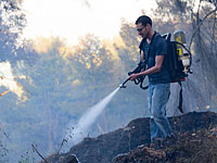 По подозрению в халатности, приведшей к пожару в лесу Бирия, задержаны жители Бейт-Шемеша
