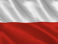 Польша начала поставки ударных БПЛА 