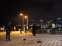 Walla: сотрудник и доброволец полиции, ликвидировавшие террориста в Яффо, получат знаки отличия