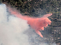 Пожарная служба: в результате поджога уничтожены 700 дунамов растительности