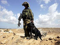 СМИ: израильские военные захватили боевика ХАМАС на севере сектора Газы