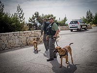 Арабы, задержанные по подозрению в нападении на пожилых женщин в Иерусалиме, освобождены