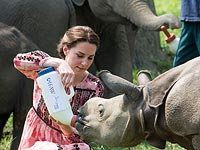 Завтрак среди носорогов: королевская чета в национальном парке Казиранга. Фоторепортаж