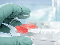 Раввины: искусственно выращенное мясо будет считаться 