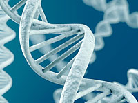 Ожирение ассоциируется с изменением в работе генов