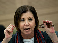 Фракция МЕРЕЦ отказалась участвовать в заседании парламентской оппозиции