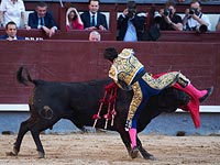 Фестиваль Сан Исидро: опасные игры в Мадриде. Фоторепортаж