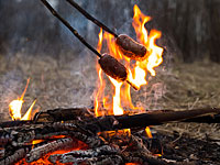 Пожарная служба выпустила запрет на разведение костров