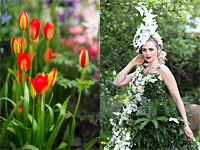 Цветочное шоу в Челси 2016. Фоторепортаж