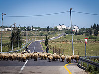 СМИ: в Иерусалиме будут построены два новых квартала – еврейский и арабский