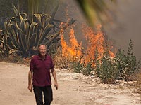 Опасное лето: сильный пожар на юге, поджоги на севере