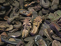 Обнаружены 48 коробок с личными вещами погибших узников Освенцима 