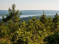 В Арканзасе разбился самолет, погиб один человек