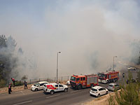 Сильный лесной пожар в Иерусалиме. Фоторепортаж