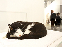 Выставка Art Basel 2016 Выставка Art Basel 2016