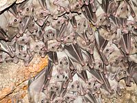 Организация