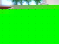 Источники в