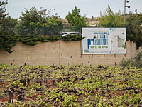 Нидерланды продолжат выплату пенсий жителям Иудеи и Самарии – вопреки закону