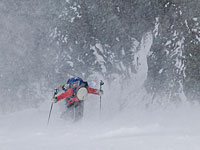 Израиль попросил у России помощи в эвакуации своих туристов 