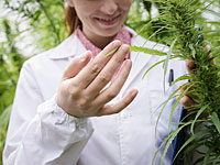 В институте 