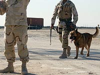 Американские военнослужащие в Кувейте 