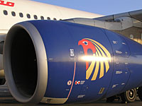 Париж квалифицирует крушение Egypt Air как непредумышленное убийство