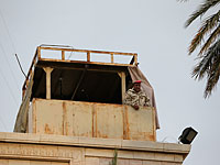 После теракта, унесшего жизни более 200 человек, глава МВД Ирака подал в отставку