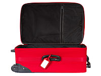 Задержан эритреец, пытавшийся проникнуть на территорию Швейцарии в чемодане
