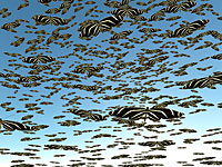 Накануне финала ЧЕ по футболу