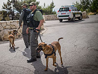 В Иерусалиме пуля пролетела рядом с женщиной, оставив на ее голове царапину