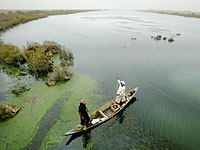 Пойма Междуречья,