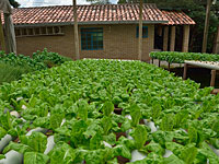 Убийство россиян на одном из островов архипелага Фиджи. Подробности