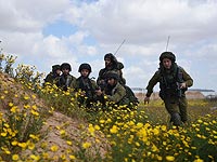 В ходе учений на Голанских высотах ранен военнослужащий