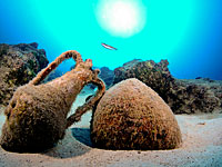 Живой, но несъедобный: на дне Балтики обнаружен 340-летний рокфор