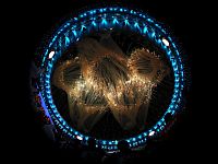 Церемония открытия Олимпийских игр в Рио. Фоторепортаж