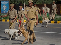 Число жертв теракта в Индии увеличилось
