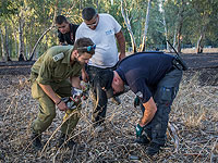 РФ подтверждает, что российский БПЛА проник из Сирии в воздушное пространство Израиля