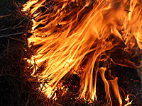 Зверские казни в провинции Киркук: боевики ИГ сожгли заживо более 50 человек