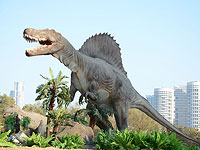 В Тель-Авиве продолжается 