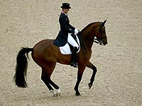 В командной выездке победила сборная Германии