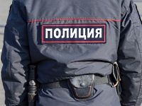 В Москве подверглись нападению участники пикета 