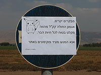 Дирекция заповедника на озере Хула просит гостей не ловить покемонов