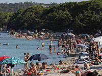 Массовая драка на Корсике между местными жителями и мусульманами. Подробности