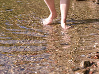 Ведутся поиски четырех детей в районе Нахаль Хацбани