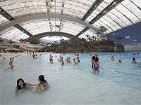 В токийском аквапарке неизвестный ранил восемь девушек